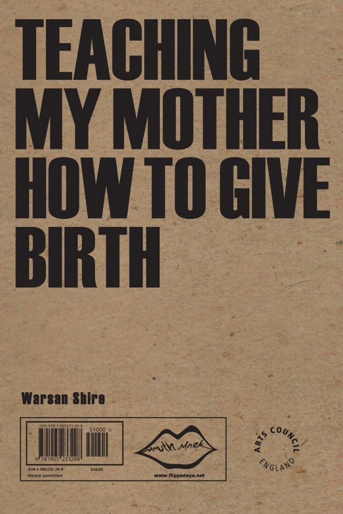 Teaching My Mother How to Give Birth, Warsan Shire
