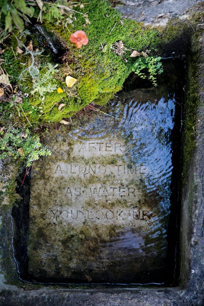 An extract from WS Merwin’s The Biology of Art carved into a submerged stone