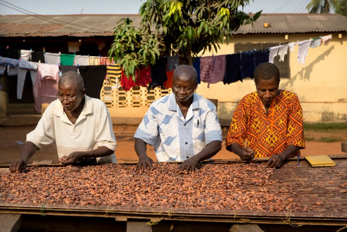 Drying cocoa beans in Ghana for Tony’s Chocolonely