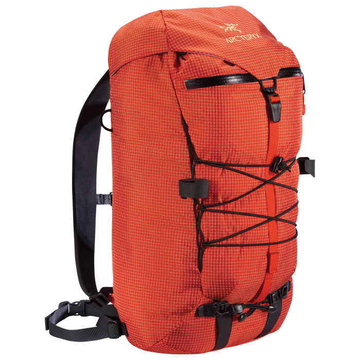 Arc'teryx Alpha AR 20 backpack, £100