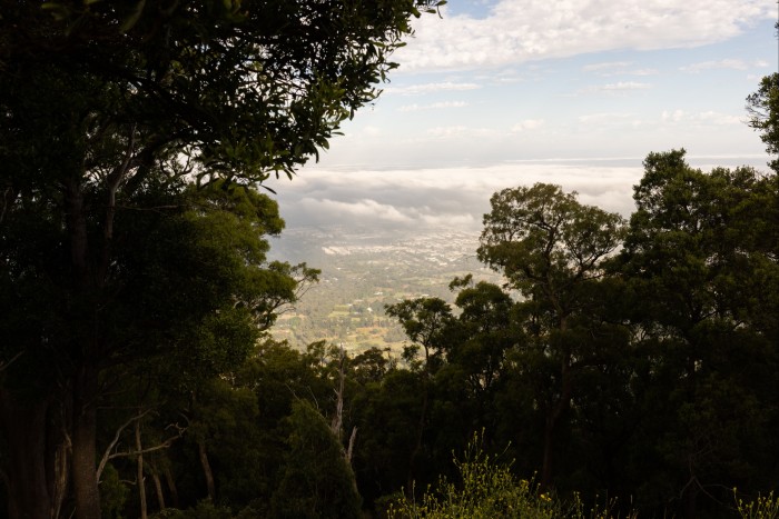 A view through trees of Melbourne at Burke’s Lookout