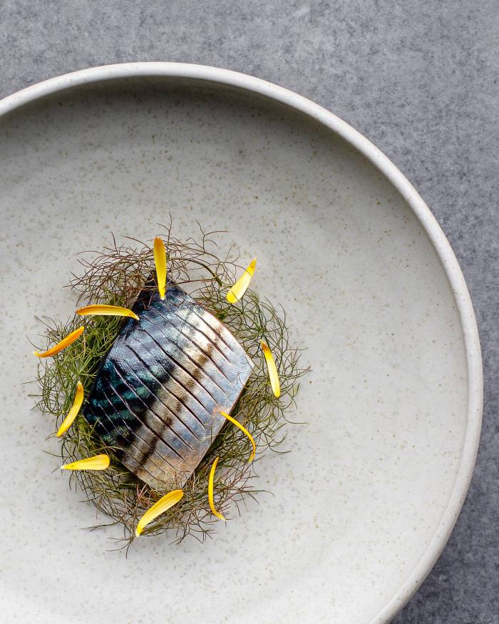 Saltered mackerel, grilled cabbages, garden shoots, pickled lemon skin and dried shellfish at Amass