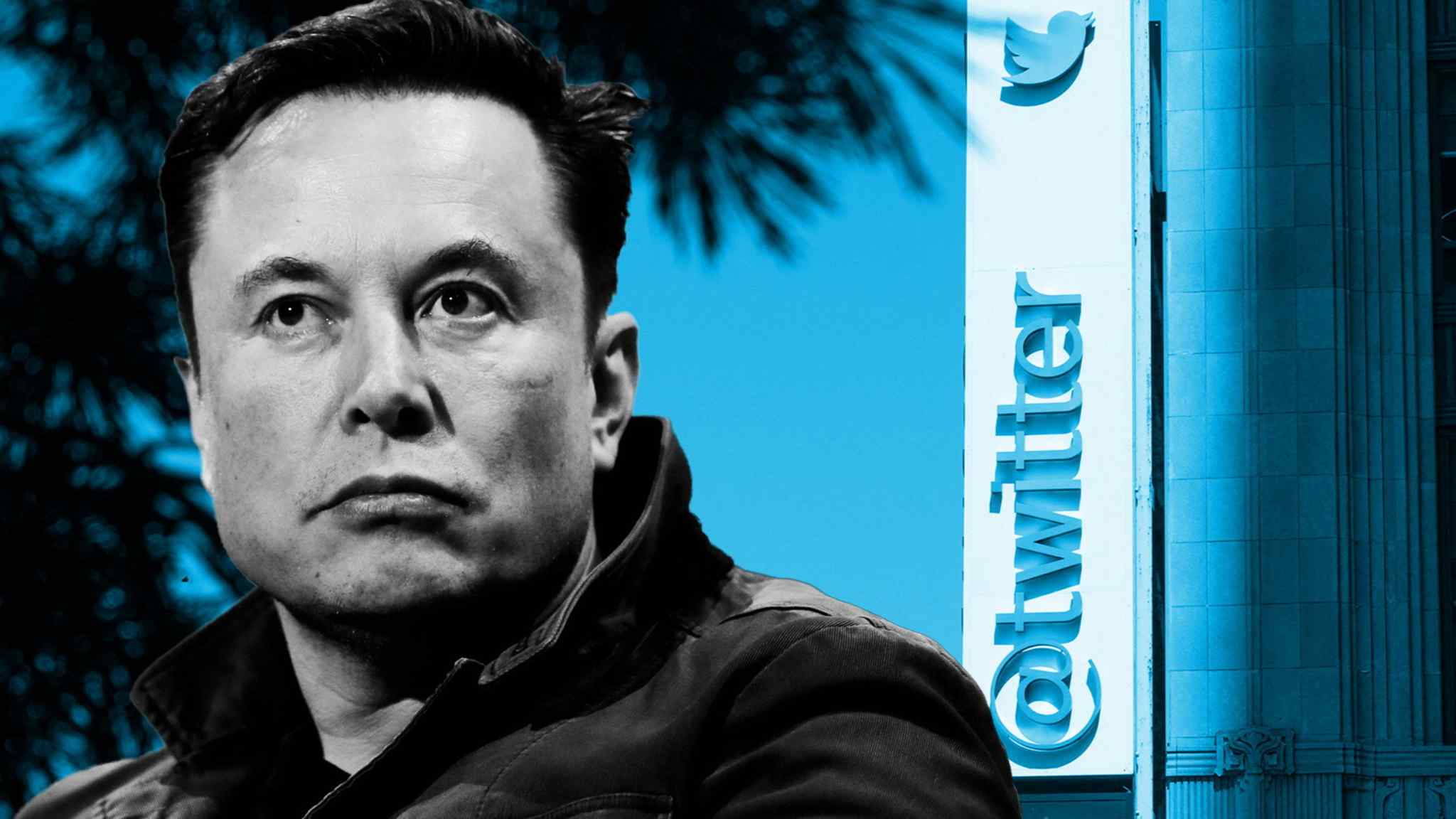 Musk’s Twitter climbdown: ‘a big pill to swallow’