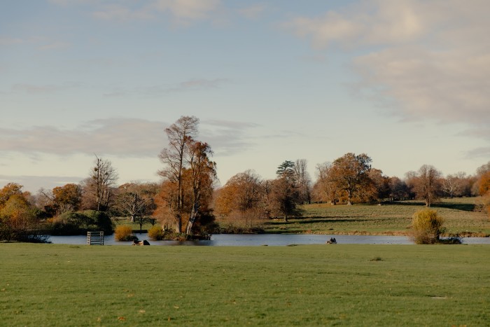 The 700-acre deer park at Petworth House