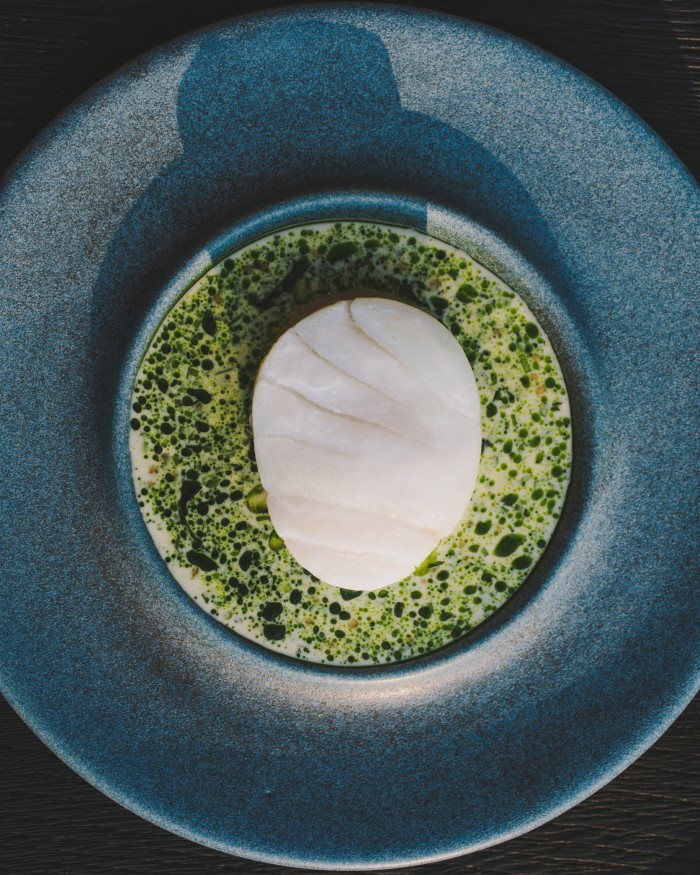 A bowl of cod with mussel cream sauce, pickled mustard seeds and herb stems at Grace & Savour