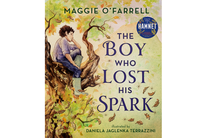The Boy Who Lost His Spark by Maggie O’Farrell and Daniela Jaglenka Terrazzini (Walker Books, £14.99)