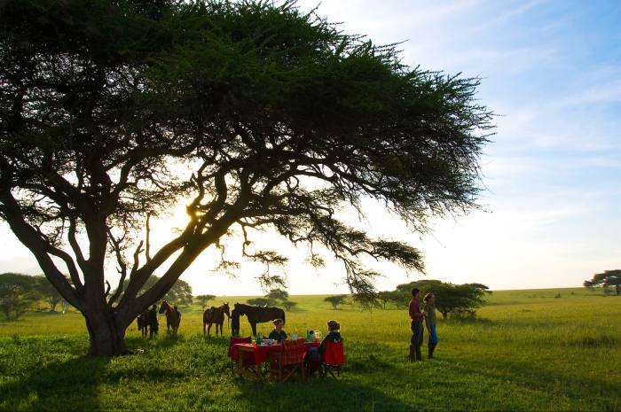 Guests dine in the shade of a tree at Ol Donyo Lodge, Kenya