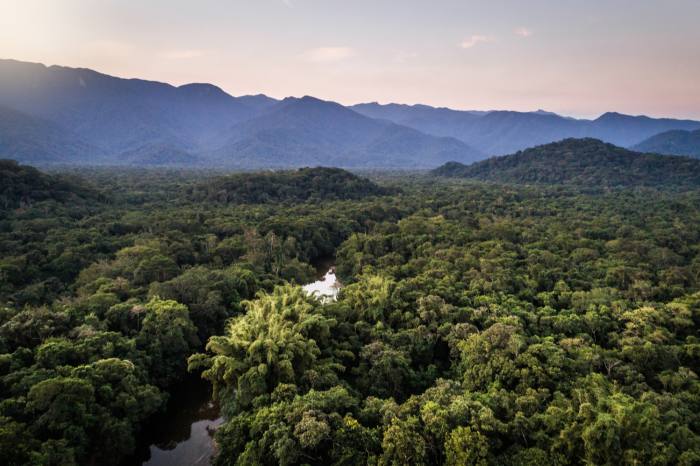 The Mata Atlantica rainforest with forested mountains in the background