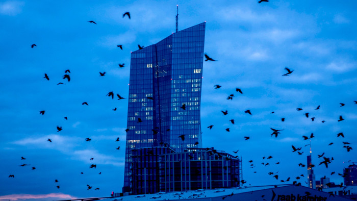 Crows fly in front of the European Central Bank in Frankfurt