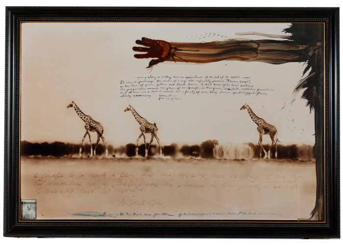 Giraffes in Mirage on the Taru Desert, Kenya, June 1960, by Peter Beard