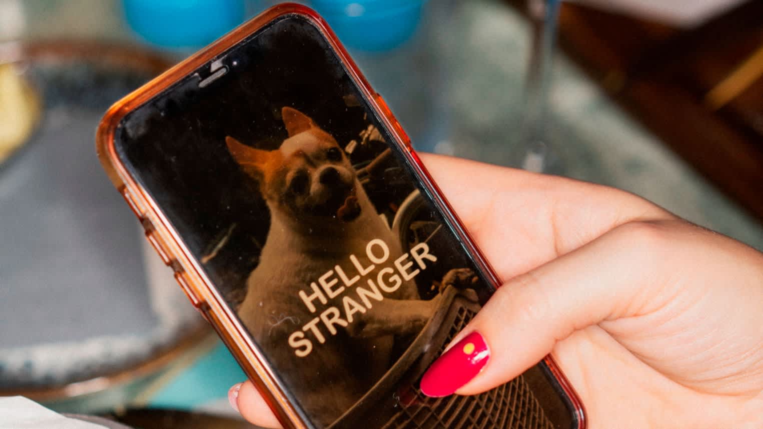 A woman’s hand holds a phone that shows the picture of a small dog with the words ‘Hello Stranger’