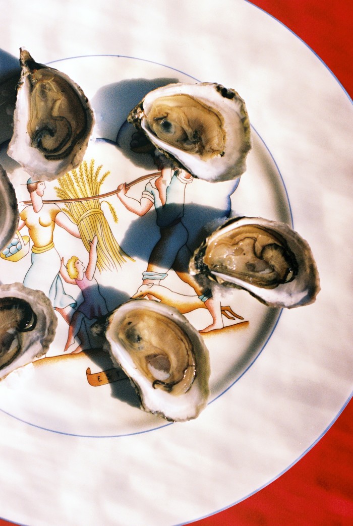 Shucked oysters on a Gio Ponti plate