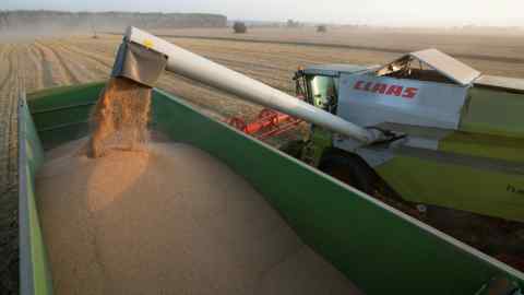 A combine harvester dumps wheat grain into a wagon at a wheat farm in Vargany, Russia