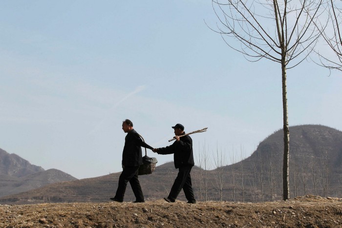 Jia Haixia and Jia Wenqi, disabled men who have planted thousands of trees in degraded land around their Chinese village, are a symbol of hope