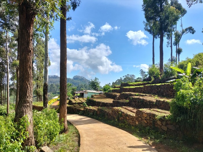 Part of the 185 miles of the Pekoe Trail in Sri Lanka