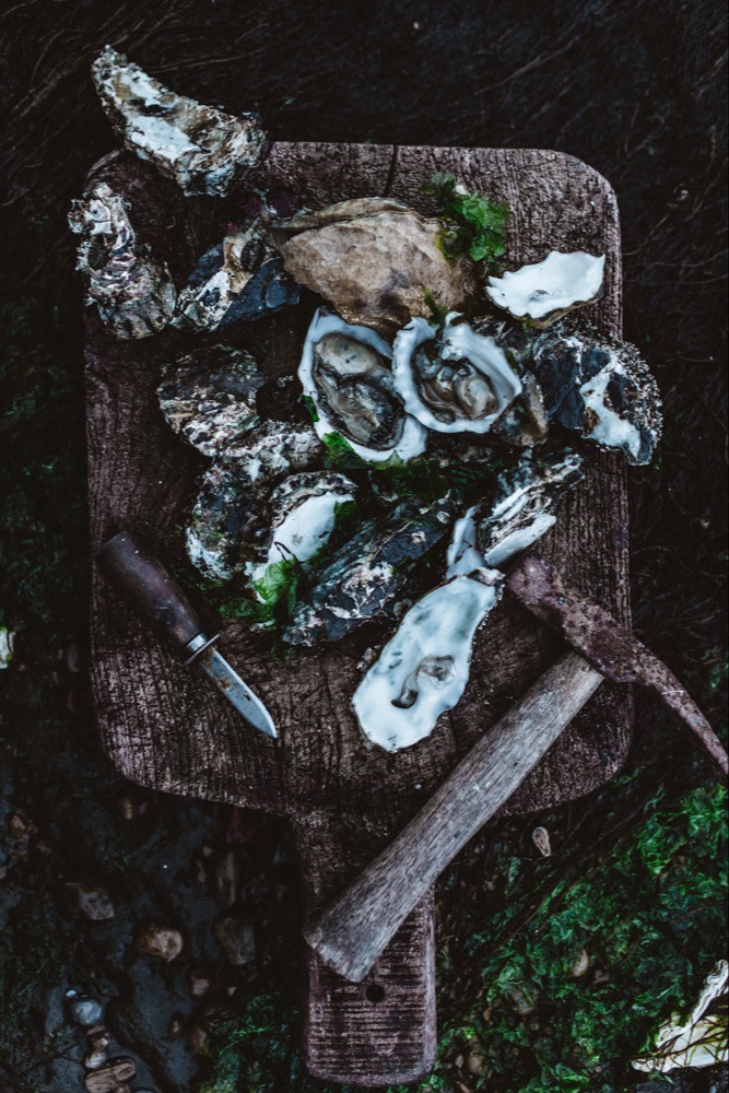 Fresh oysters on Satellite Island