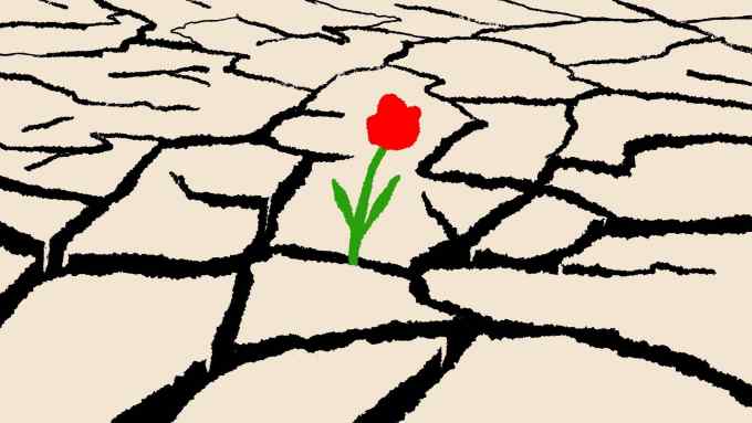 Ben Hickey illustration of cracked, dry land with a red flower growing in the middle