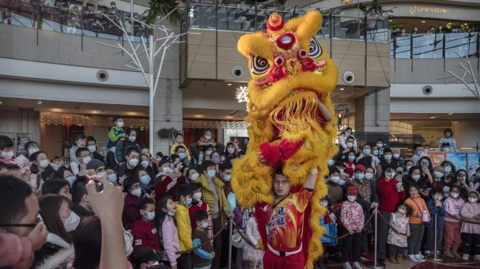 Lion dancers perform during lunar new year celebrations at a shopping mall in Beijing