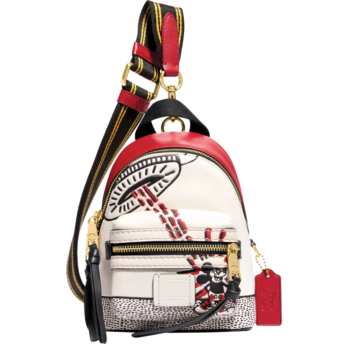 Coach Disney Mickey Mouse x Keith Haring Academy Backpack 15