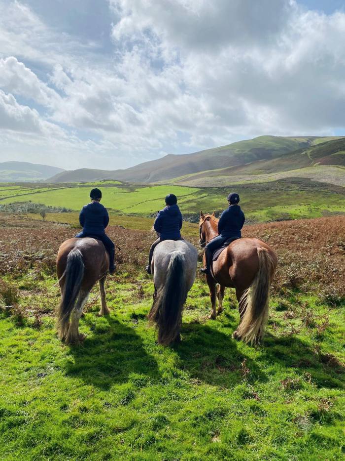 Trekking with Cumbrian Heavy Horses