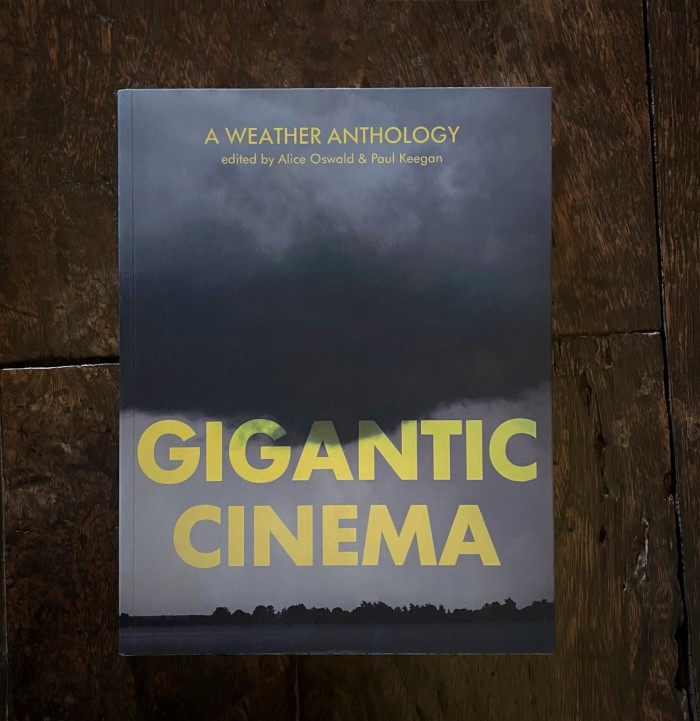 Patrick Kinmonth says Gigantic Cinema is “like a beautifully constructed museum of our complex relationship with weather”