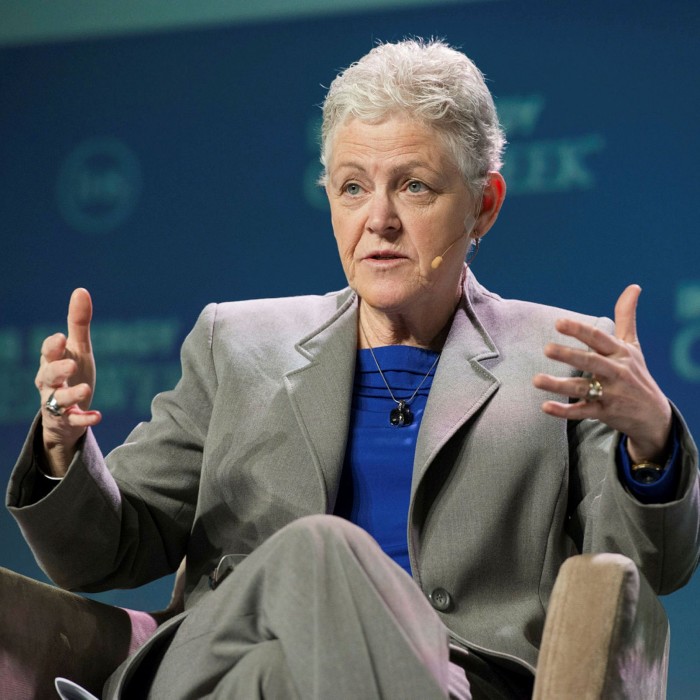 Gina McCarthy, a former head of the Environmental Protection Agency, will be the Biden administration’s climate tsar, co-ordinating policy