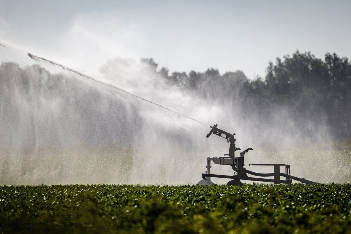Water being sprayed into a potato field