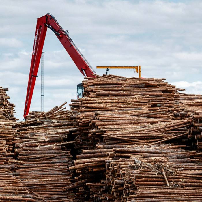 The EU requires supply chain reporting for timber