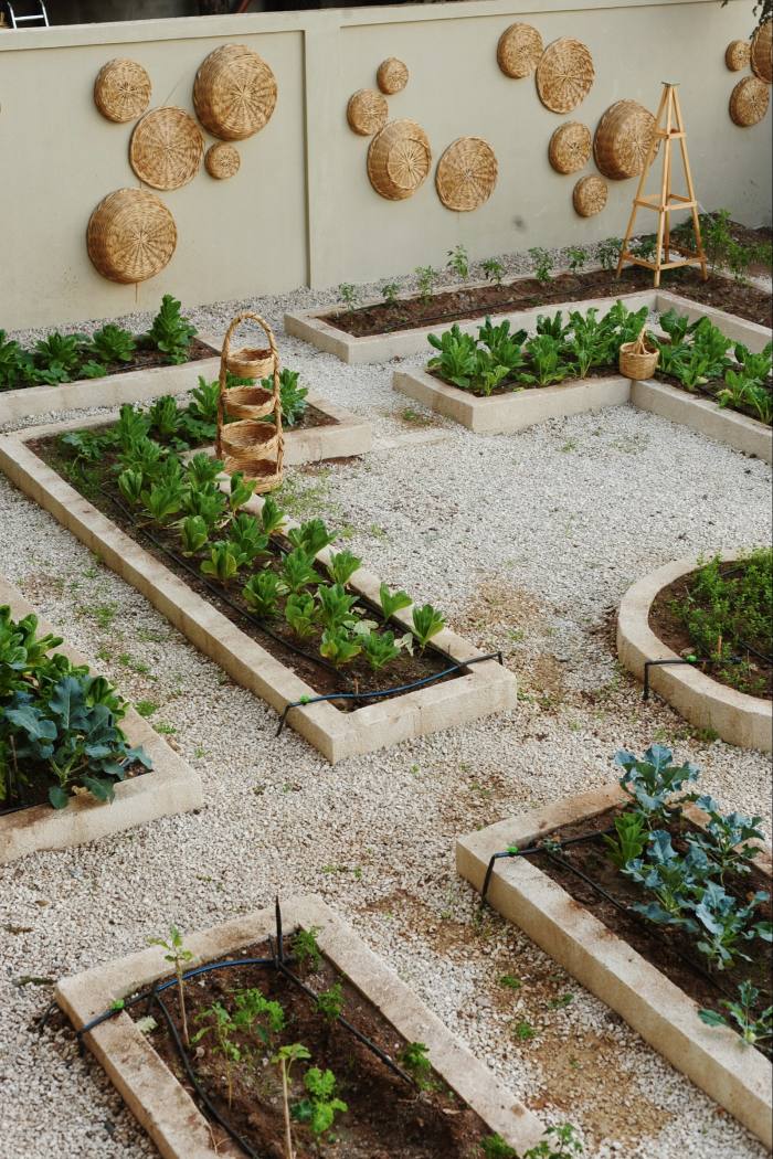 Villa Chamoun’s vegetable garden