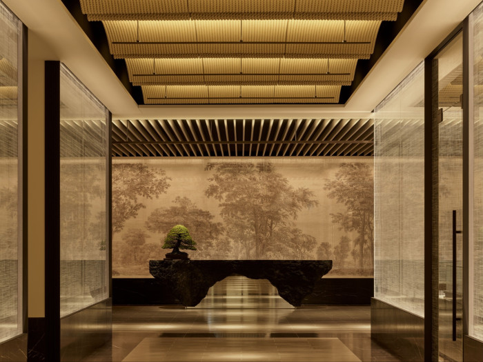 A hotel corridor with a bonsai tree on a sculptural table