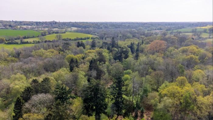 Aerial view of ancient woodland at Wendling Beck