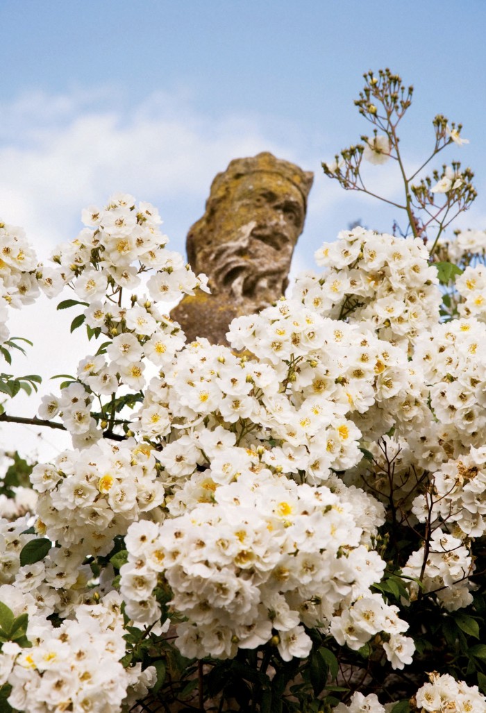 A 17th-century statue of Neptune swathed in “Bobbie James” rambling roses at Hanham Court, near Bristol, as seen in Isabel and Julian Bannerman’s book Landscape of Dreams