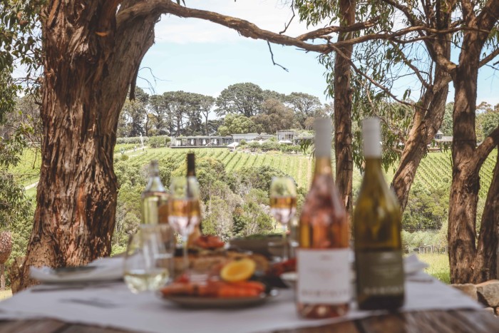 Bottles of wine and glasses on a table set for a picnic in a glade overlooking vines at Montalto