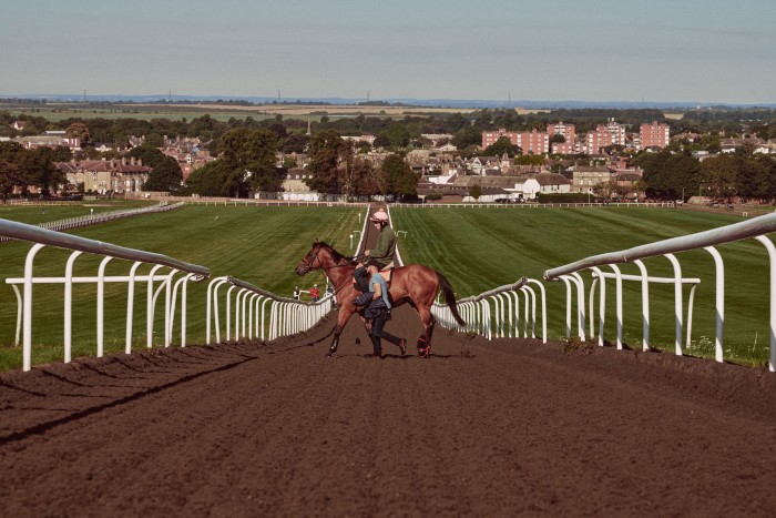 A horse crosses the track on the Warren Hill synthetic gallop in Newmarket
