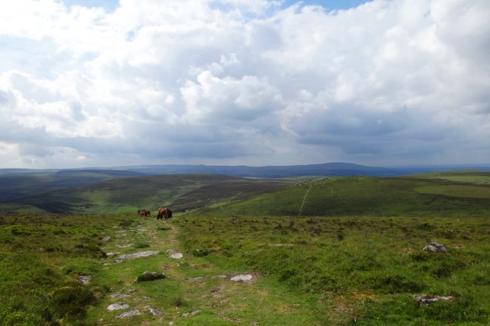 The south of the Two Moors Way traverses Dartmoor National Park