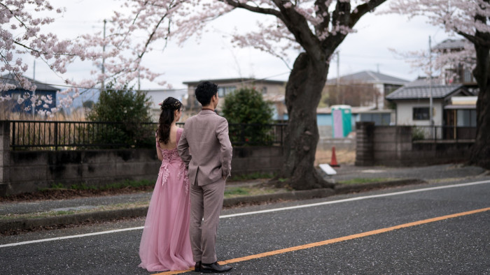 A couple poses for a wedding photograph near cherry trees in bloom in the Yonomori area on April 2, 2023 in Tomioka, Fukushima, Japan.