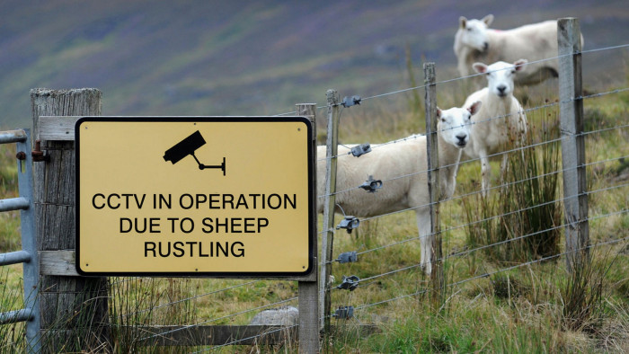 A sign on a farm fence warns of CCTV in place due to sheep rustling