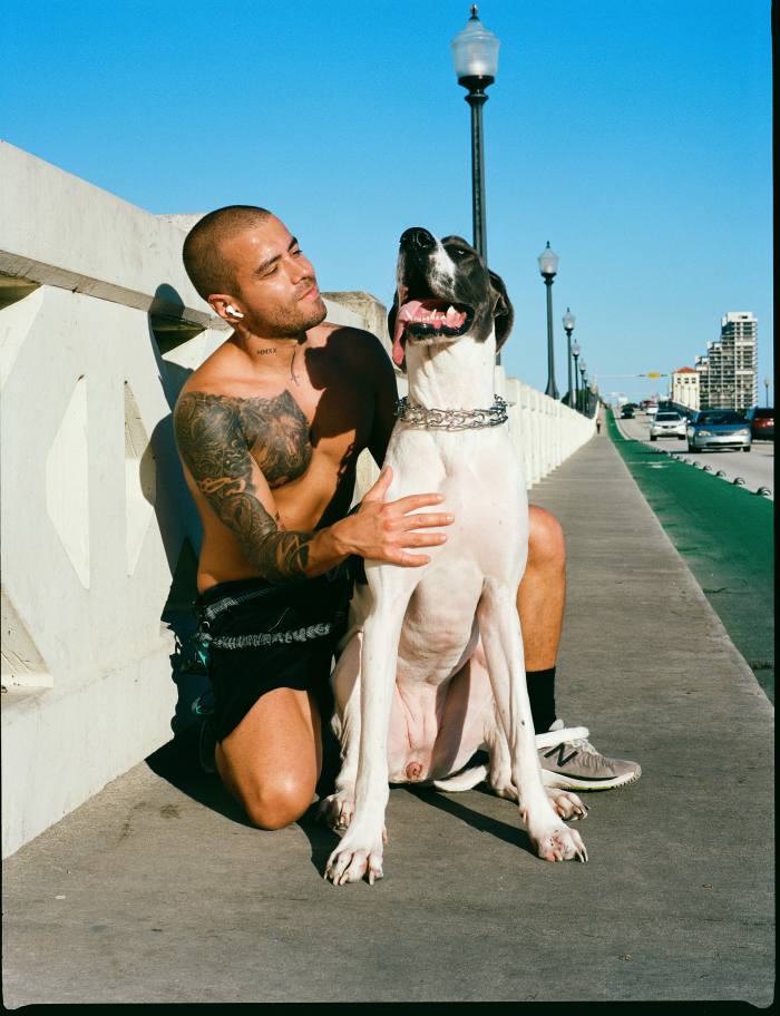 A jogger and his dog take a break on the Venetian Causeway
