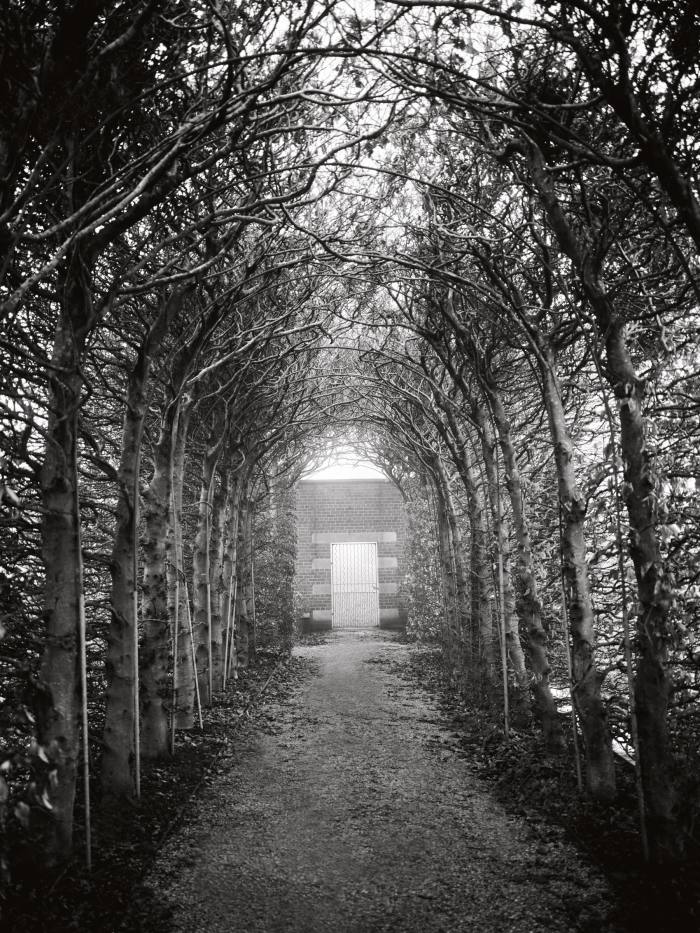 A tunnel of beech on the top terrace at Broughton Grange, Oxfordshire, designed by Tom Stuart-Smith