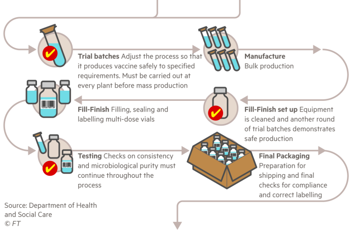 Infographic showing the vaccine manufacturing process