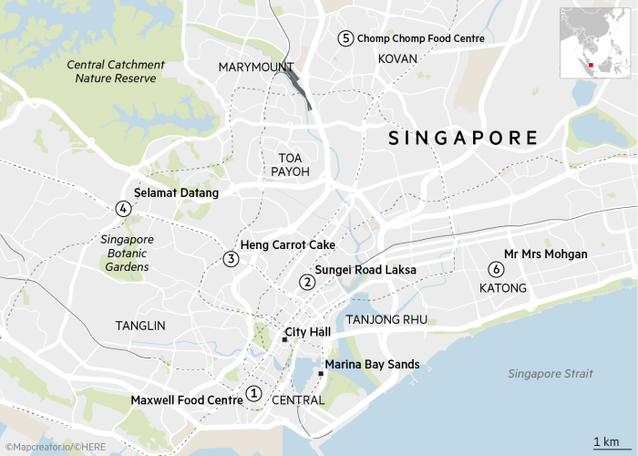 FT Globetrotter - Singapore map tweaked