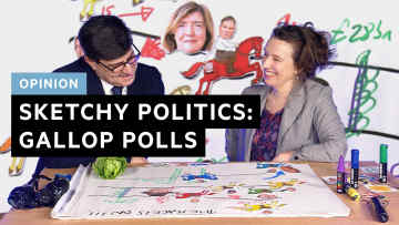 Sketchy politics: gallop polls