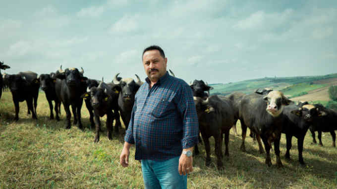 portrait of turgay yoldas, he is standing with his water buffalos