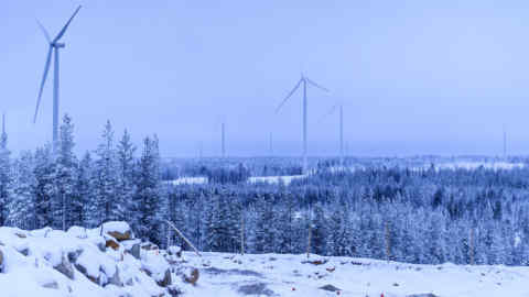 Wind turbines operate above fir trees at the Markbygden ETT wind park project near Pitea, Sweden, on Tuesday, Nov. 12, 2019. Workers are installing turbines perched atop 130-meter tall towers at a rate of about two a week at the site in northern Sweden, where the temperature regularly dips below minus 10 Celsius (14 Fahrenheit) and the sun is hardly seen for months on end during winter. Photographer: Mikael Sjoberg/Bloomberg