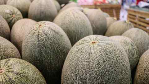 Full frame pile of cantaloupe melons in a supermarket in horizontal 3:2 format.
