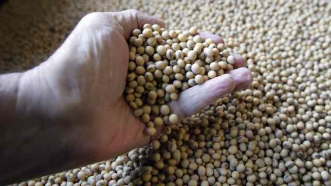 Sorted soybeans are ready for shipment and planting at Taylor Seed Farm near White Cloud, Kan., Thursday, April 5, 2018. President Donald Trump's faceoff with China over trade has exposed an unexpected political vulnerability in what was supposed to be the Republican Party's strongest region: rural America. (AP Photo/Orlin Wagner)