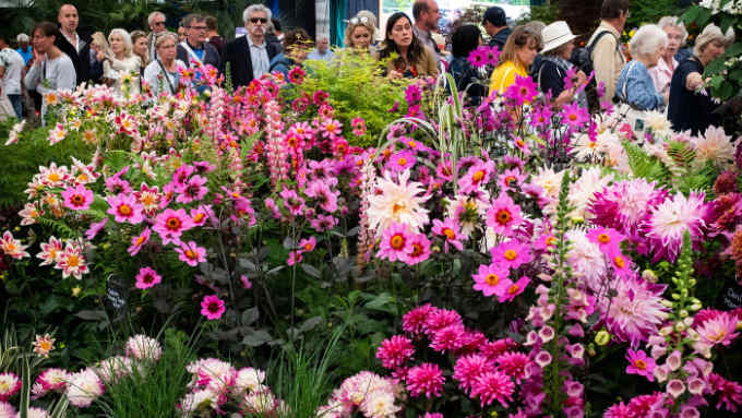 Mandatory Credit: Photo by REX/Shutterstock (9719112ac) Chelsea Flower Show 2018 Chelsea Flower Show, London, UK - 24 May 2018