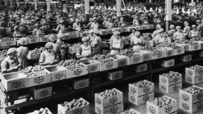 28th February 1930: Factory workers prepare peaches for canning at a Del Monte canning factory in the USA. (Photo by Topical Press Agency/Getty Images)