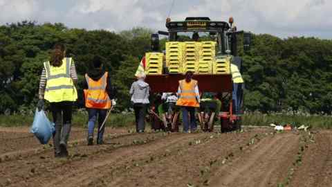Workers plant seeds at Poskitts farm in Yorkshire