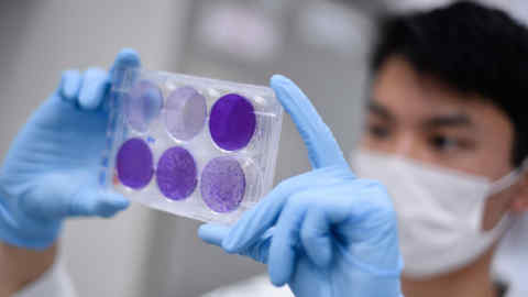 A researcher works on virus replication in order to development a vaccine against the coronavirus Covid-19, in Belo Horizonte, state of Minas Gerais, Brazil, on March 26, 2020. - The Ministry of Health convened The Technological Vaccine Center of the Federal University of Minas Gerais laboratory to conduct research on the coronavirus COVID-19 in order to diagnose, test and develop a vaccine. (Photo by Douglas MAGNO / AFP) (Photo by DOUGLAS MAGNO/AFP via Getty Images)